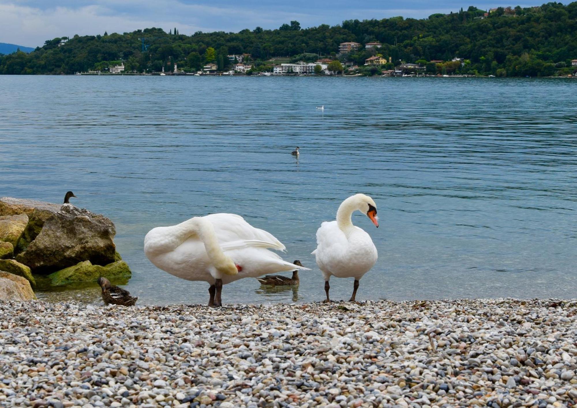 Villa Donne Del Lago Vittoria Salò Kültér fotó